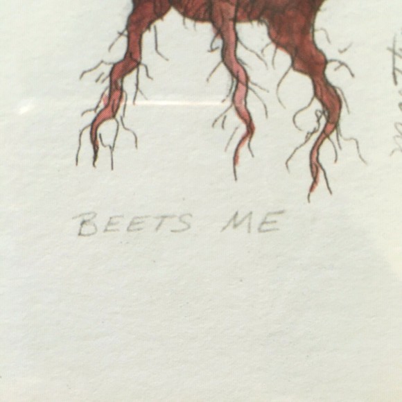 Martha Hinson Framed BEET Tinted Etching Artist Signed Numbered 3080/4950 LMT ED - Picture 5 of 10